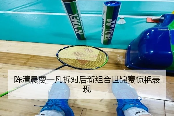 陈清晨贾一凡拆对后新组合世锦赛惊艳表现