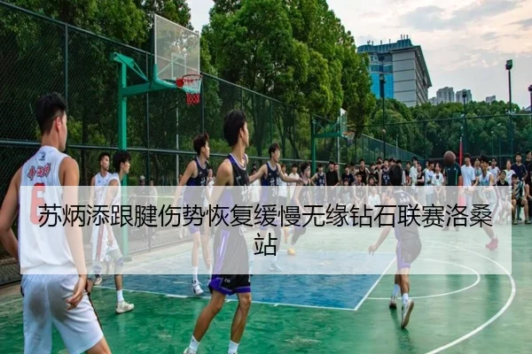苏炳添跟腱伤势恢复缓慢无缘钻石联赛洛桑站