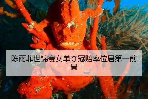 陈雨菲世锦赛女单夺冠赔率位居第一前景