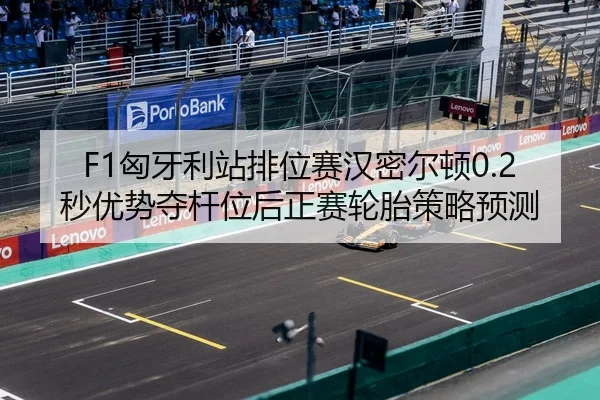 xiong-ya-li-zhan-pai-wei-sai-han-mi-er-dun-miao-you-shi-duo-gan-wei-hou-zheng-sai-lun-tai-ce-lve-yu-ce-2-864.jpg