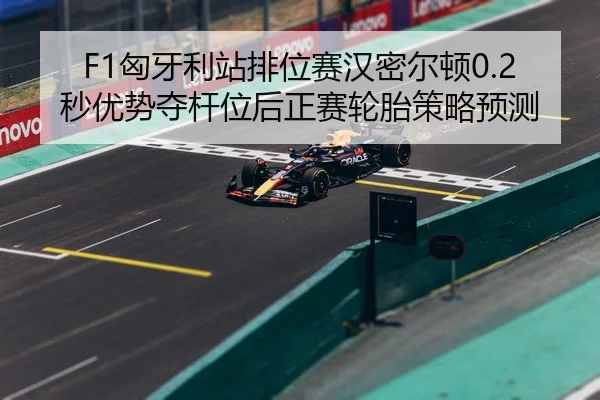 xiong-ya-li-zhan-pai-wei-sai-han-mi-er-dun-miao-you-shi-duo-gan-wei-hou-zheng-sai-lun-tai-ce-lve-yu-ce-3-120.jpg